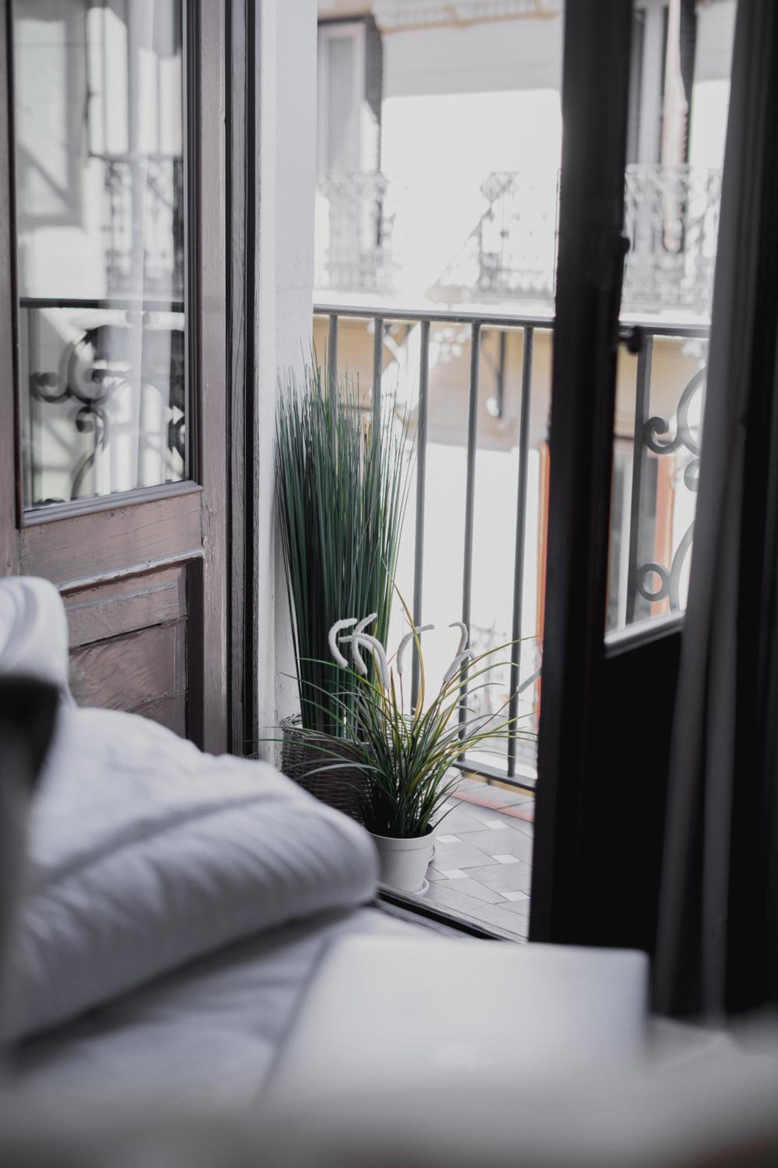 Select Sol — photo 5