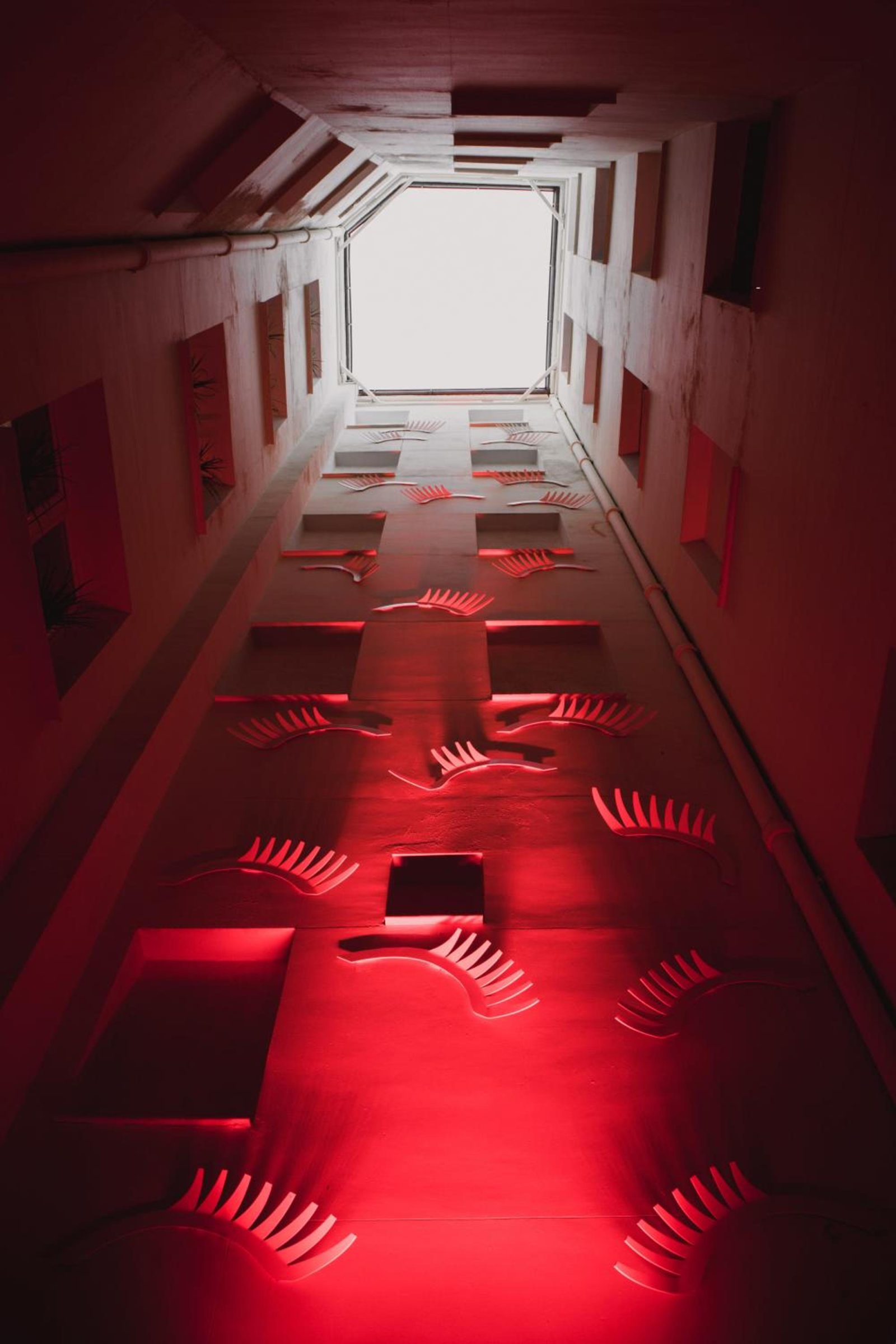 Select Sol — photo 3